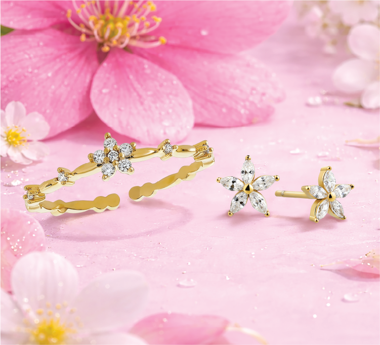 Banner 2 in 1 - Image 2