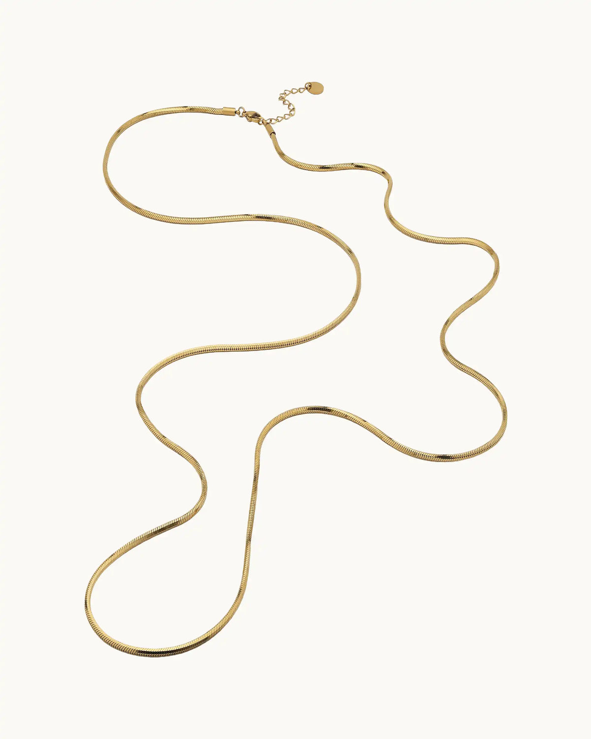 Xenia Long Snake Chain Necklace in Gold