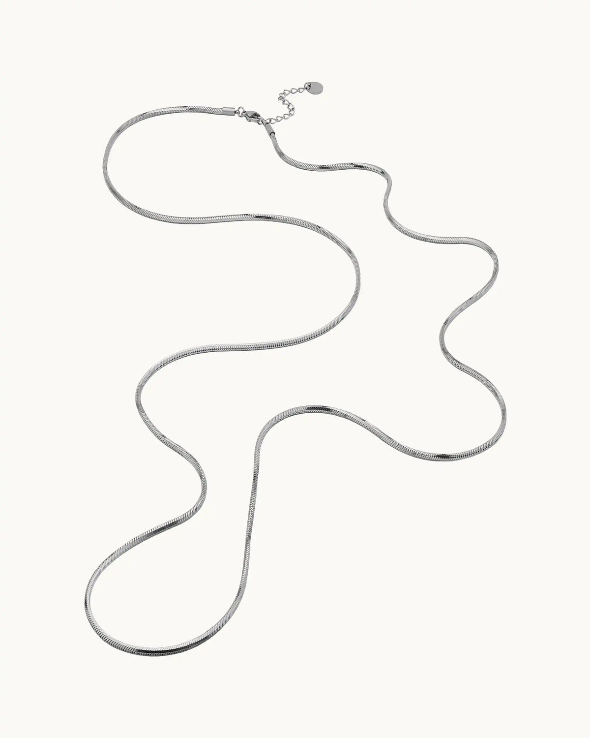 Xenia Long Snake Chain Necklace in Silver
