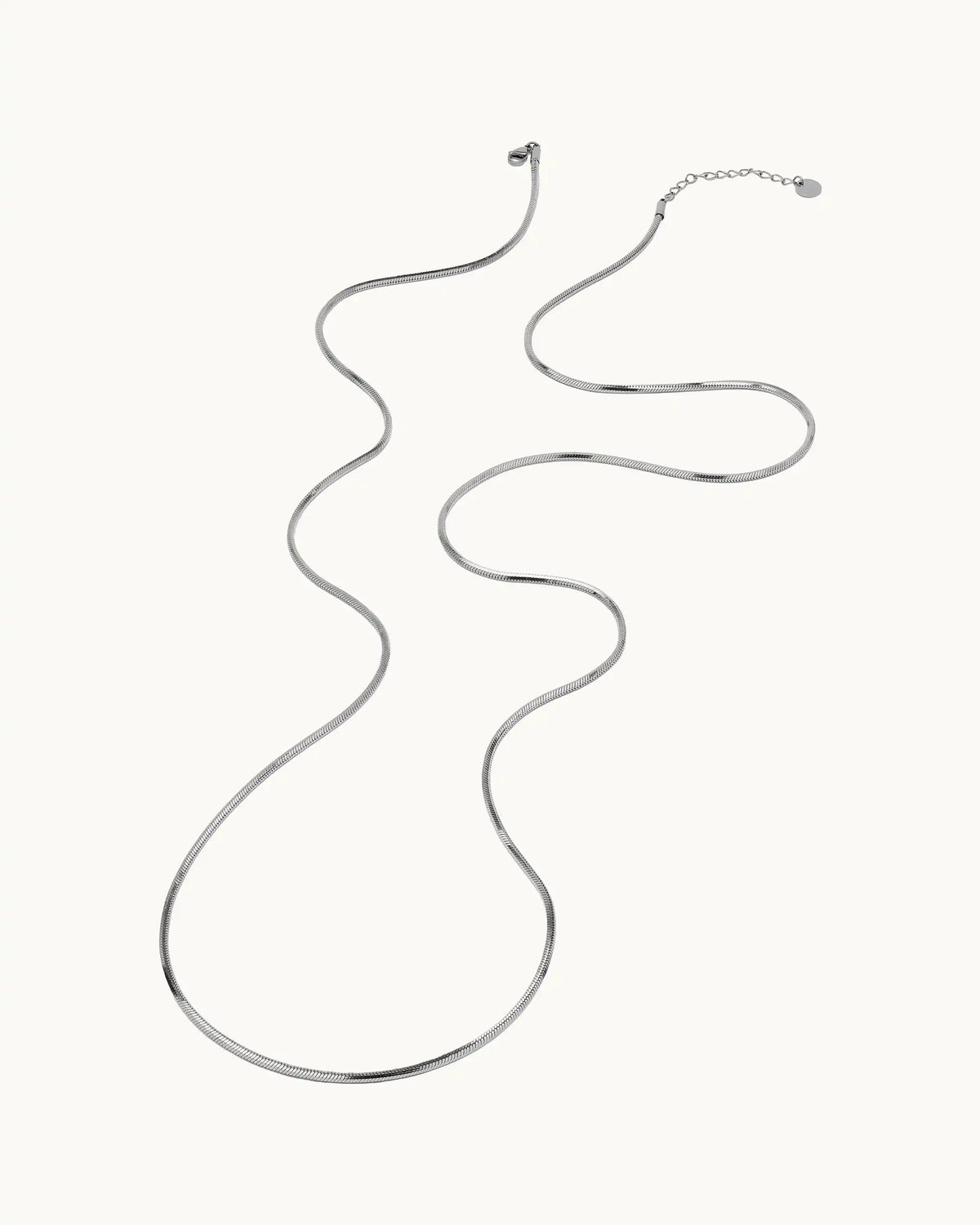 Xenia Long Snake Chain Necklace in Silver